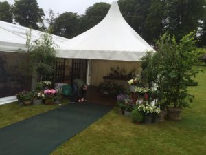 Nissrine Event Services Limited Pagodas  